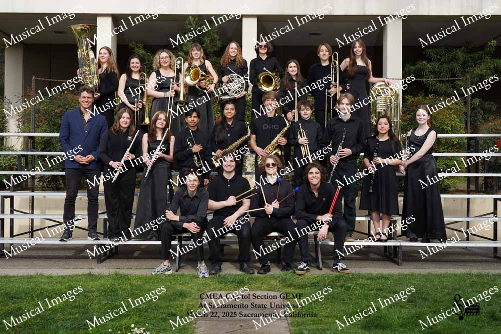 Musical Images